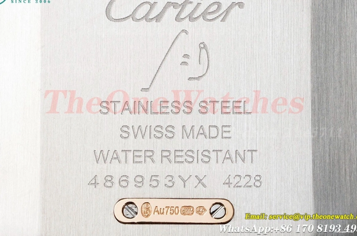 Dial Dumont Quartz Silver Santos Black AF LE RG 0204